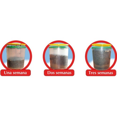 Trampa atrapamoscas Killer-Trap