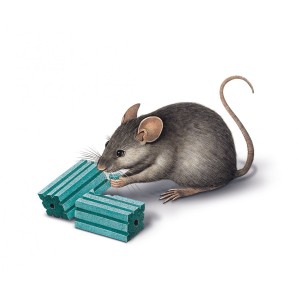 Cebo rodenticida Roe-Block Plus 260 gr 2