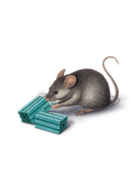 Cebo rodenticida Roe-Block Plus 260 gr