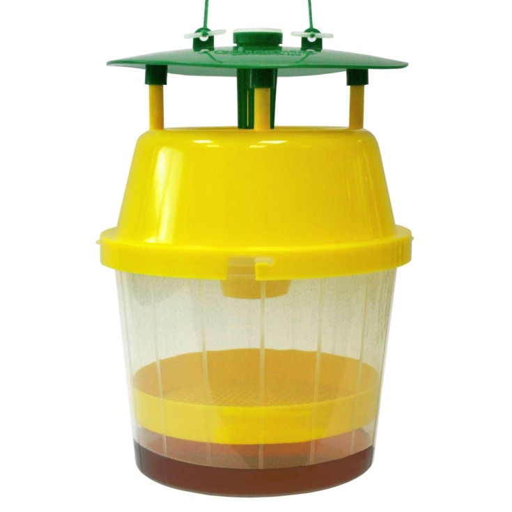 Trampa avispa velutina