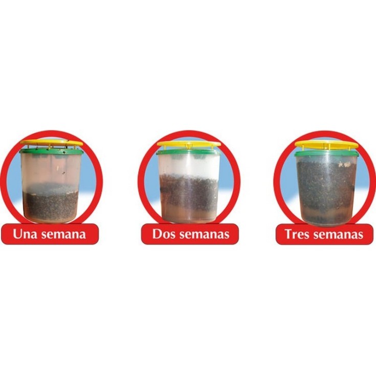 Trampa atrapamoscas Killer-Trap tienda online Iterflex