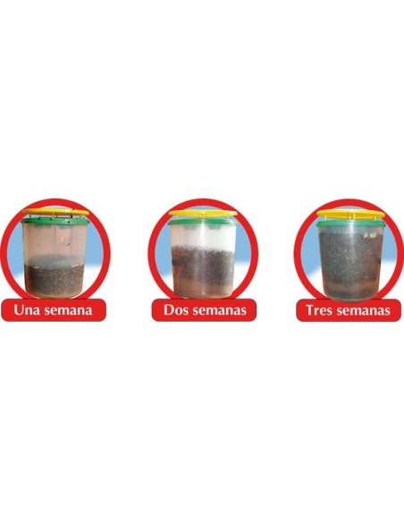 Trampa atrapamoscas Killer-Trap tienda online Iterflex