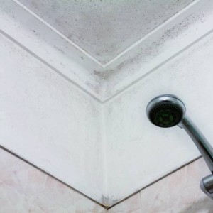 Pintura antihumedad blanca para interiores AguaStop 750g 2