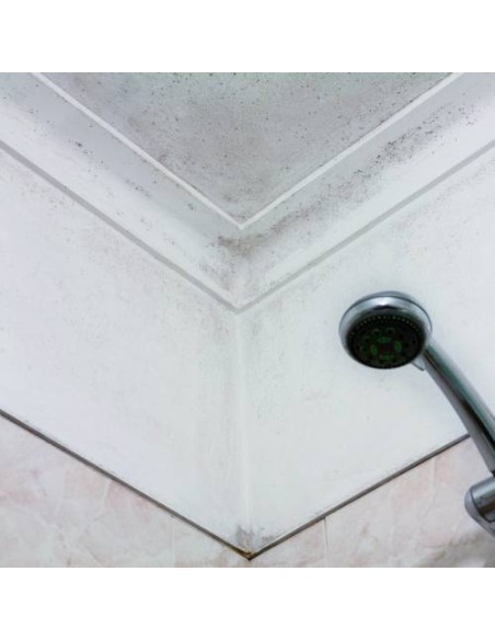 Pintura antihumedad blanca para interiores AguaStop 750g