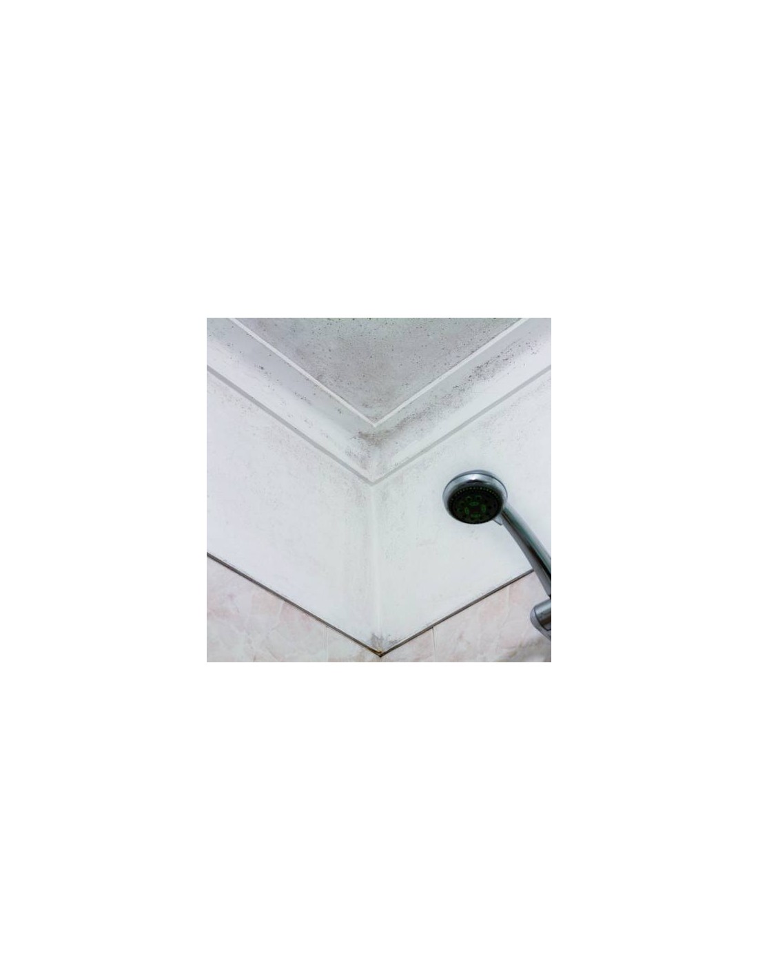 Rubson 1543354 - Pintura antihumedad para paredes interiores, bote de  plástico, color blanco, 0,75 L : : Bricolaje y herramientas