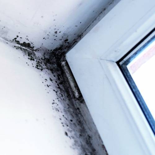 Pintura antihumedad blanca para interiores AguaStop 750g