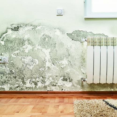Pintura antihumedad blanca para interiores AguaStop 750g
