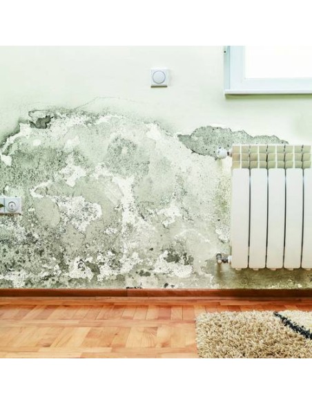 Pintura antihumedad blanca para interiores AguaStop 750g