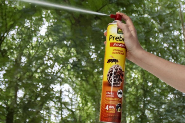 Cómo elegir el insecticida adecuado para cada plaga y usarlo con seguridad