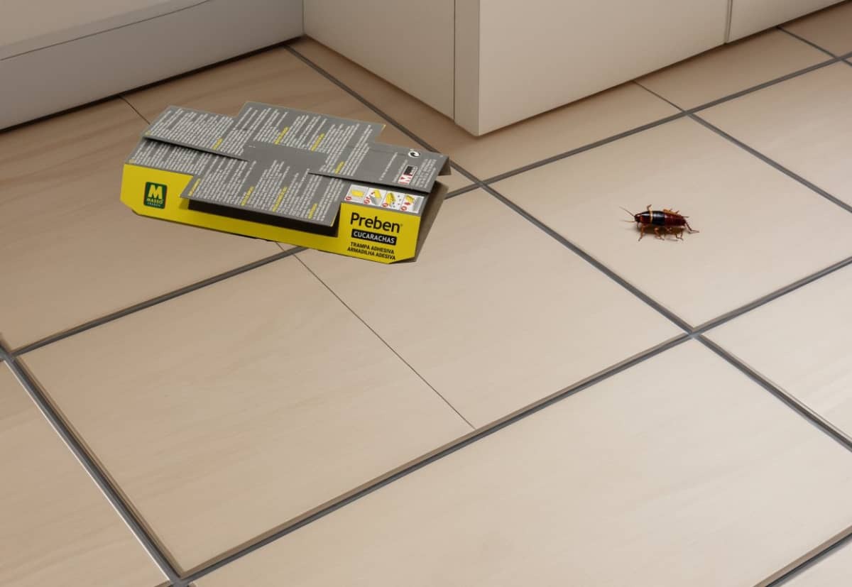 Cómo deshacerte de las cucarachas en casa